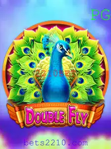 DoubleFly: Mergulhe na Ação com 2210BET